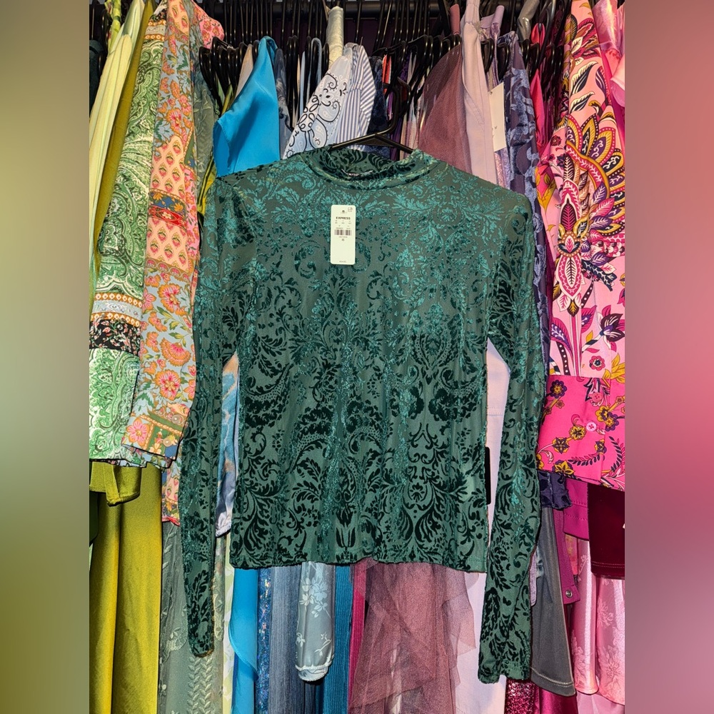 Express Green Burnout Velvet Long-Sleeve Top